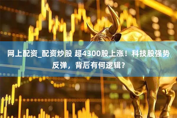 网上配资_配资炒股 超4300股上涨！科技股强势反弹，背后有何逻辑？